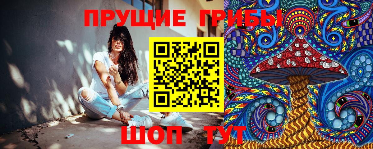 Псилоцибиновые грибы GOLDEN TEACHER  Вход с VPN  Сафоново 